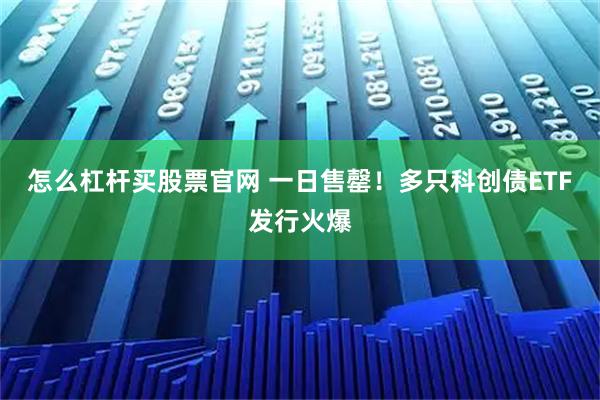 怎么杠杆买股票官网 一日售罄!多只科创债ETF发行火爆