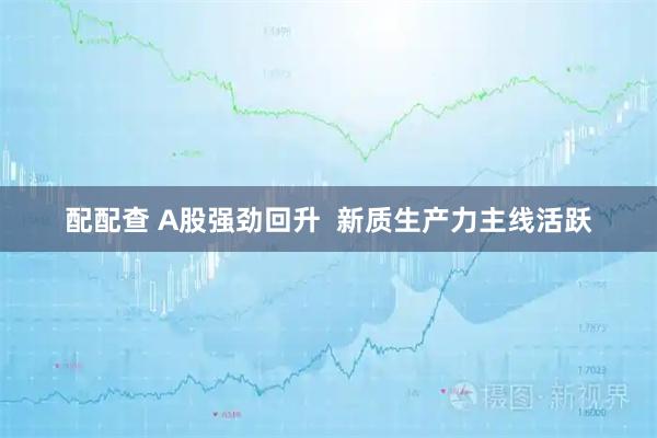 配配查 A股强劲回升 新质生产力主线活跃