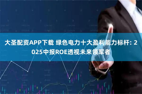 大圣配资APP下载 绿色电力十大盈利能力标杆: 2025中报ROE透视未来领军者