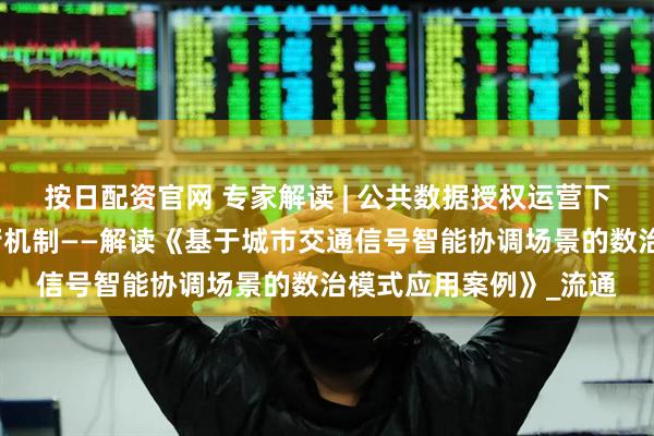 按日配资官网 专家解读 | 公共数据授权运营下的数据安全与利用平衡机制——解读《基于城市交通信号智能协调场景的数治模式应用案例》_流通