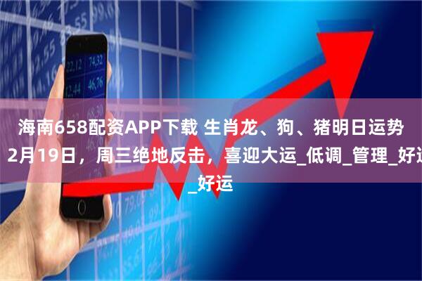 海南658配资APP下载 生肖龙、狗、猪明日运势，2月19日，周三绝地反击，喜迎大运_低调_管理_好运